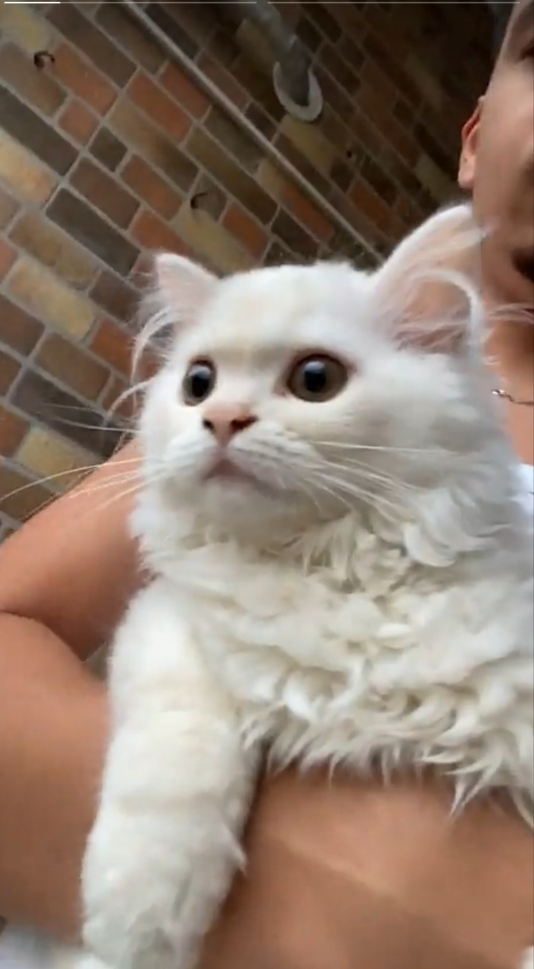 @Prince 🤴 nicotine 🐱nana