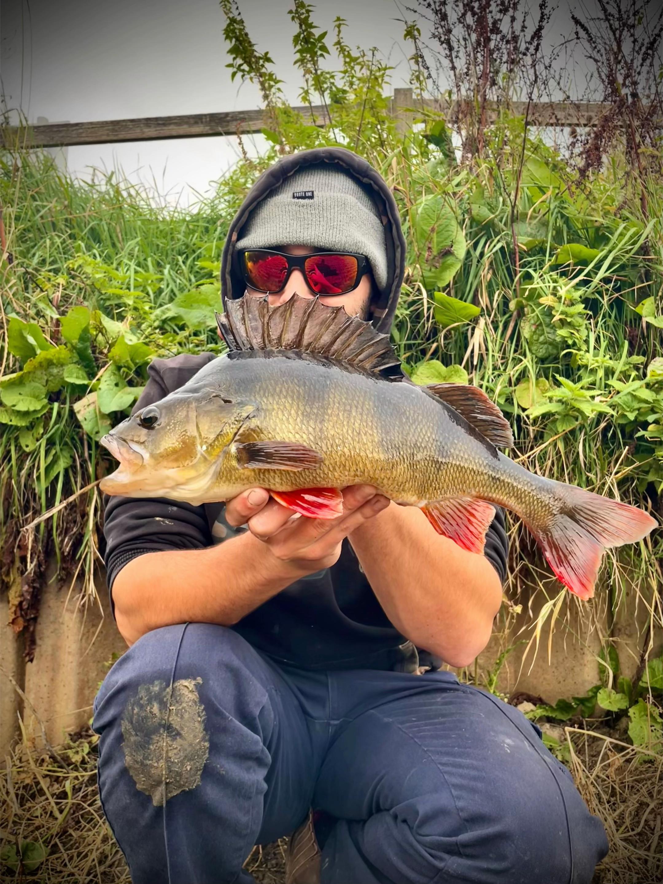 @Seantheprawn.v