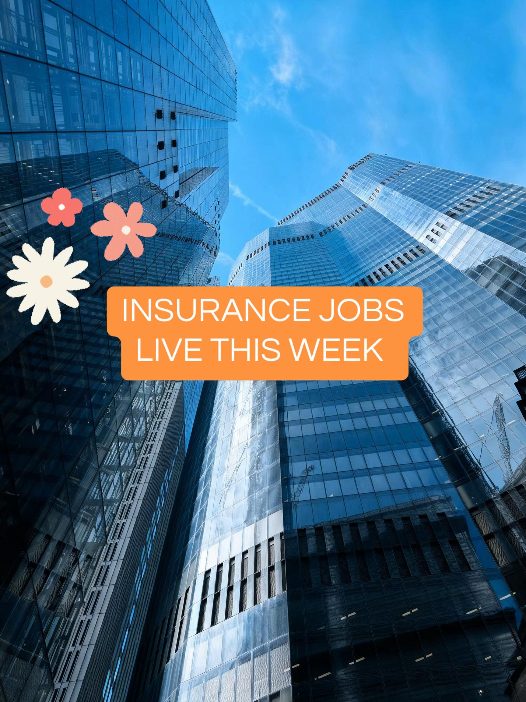 @Insurance TikTok