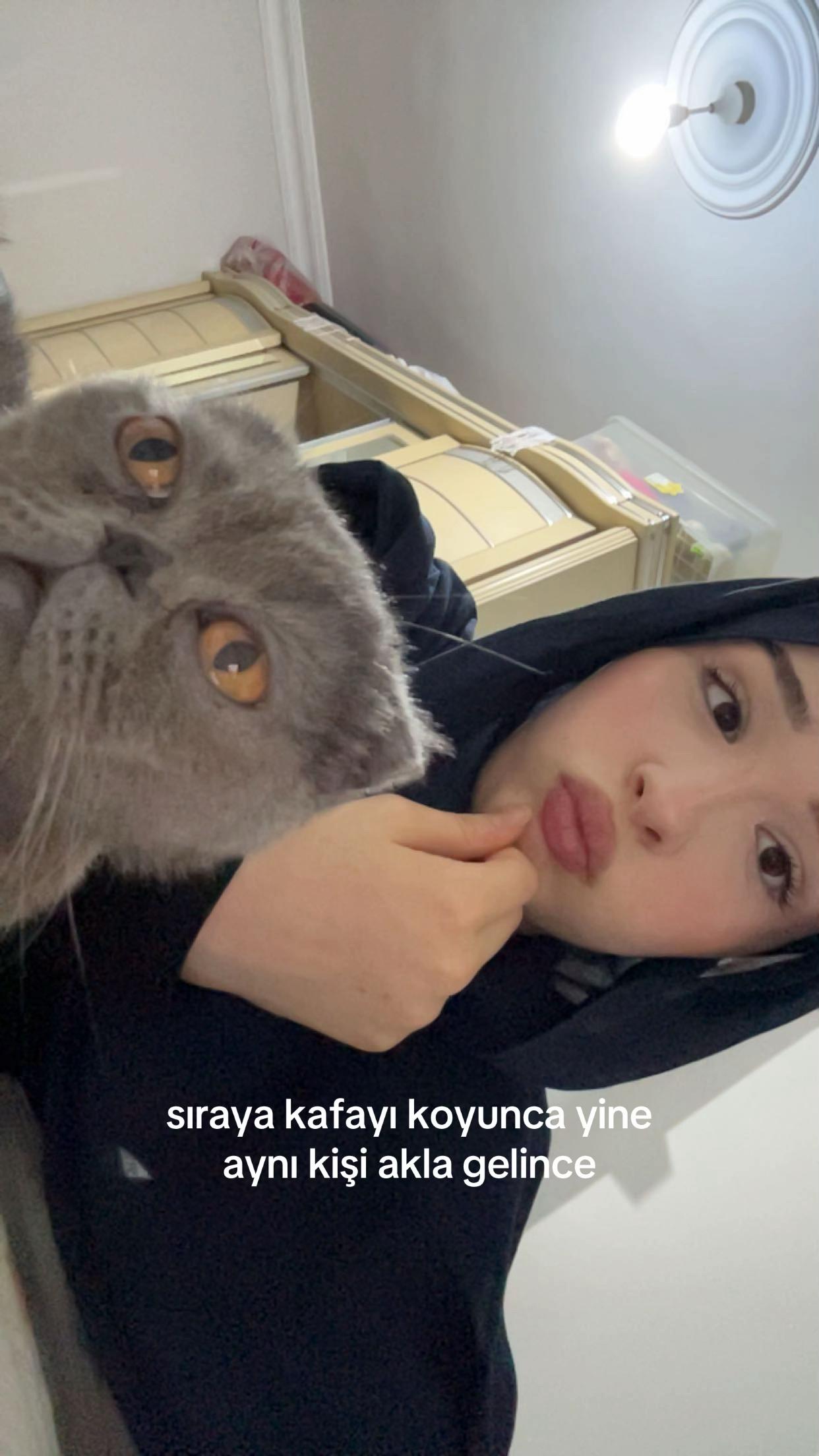 @aysen