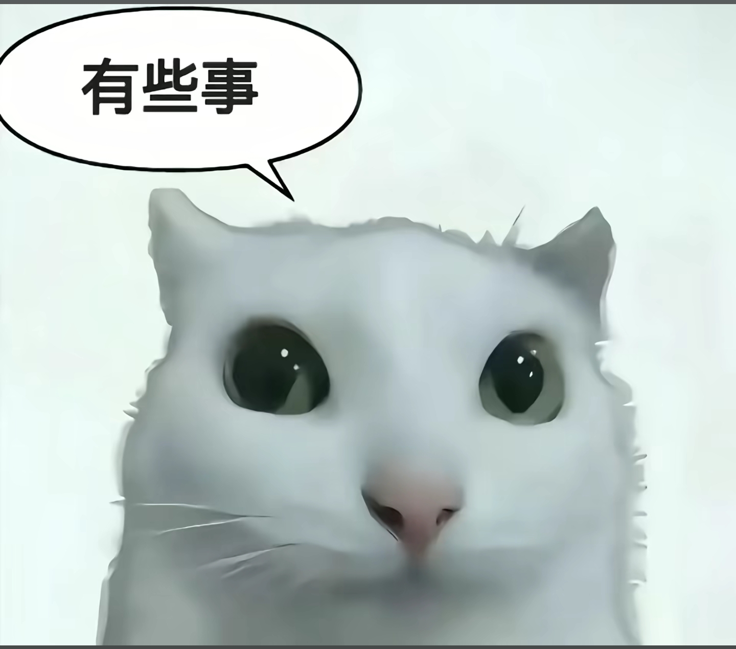 @岁岁の无虞