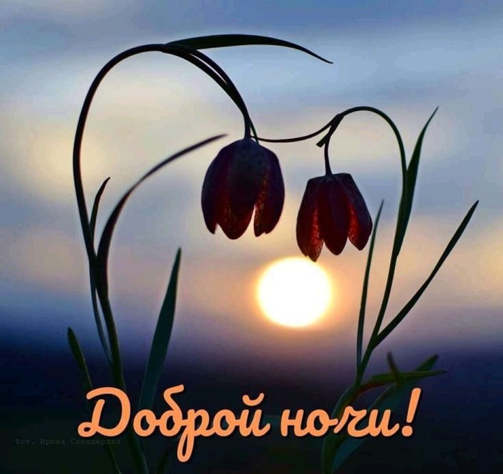 @Александр
