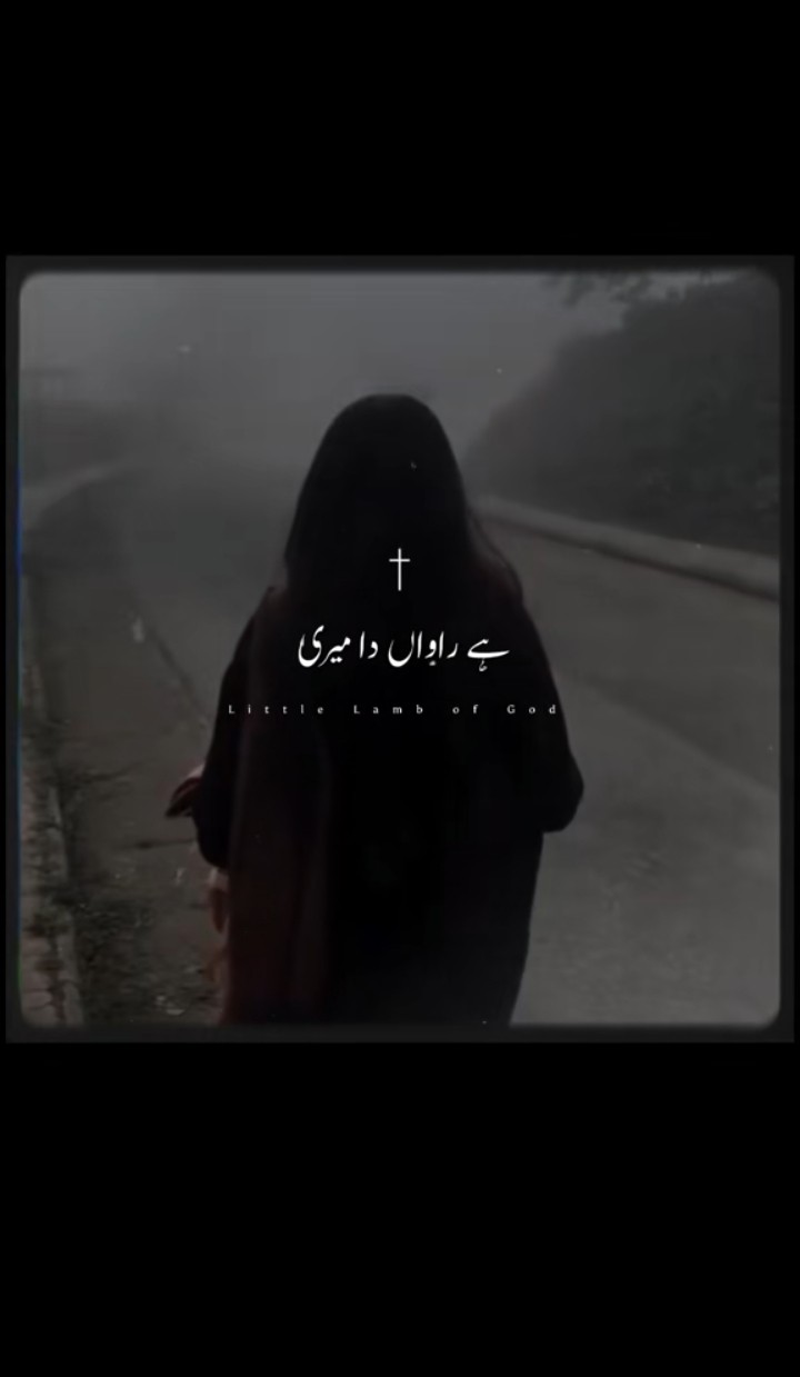 @چٹا صاحب 214✨🖤