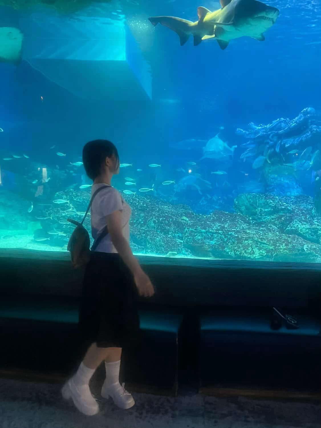 @냐냐냥
