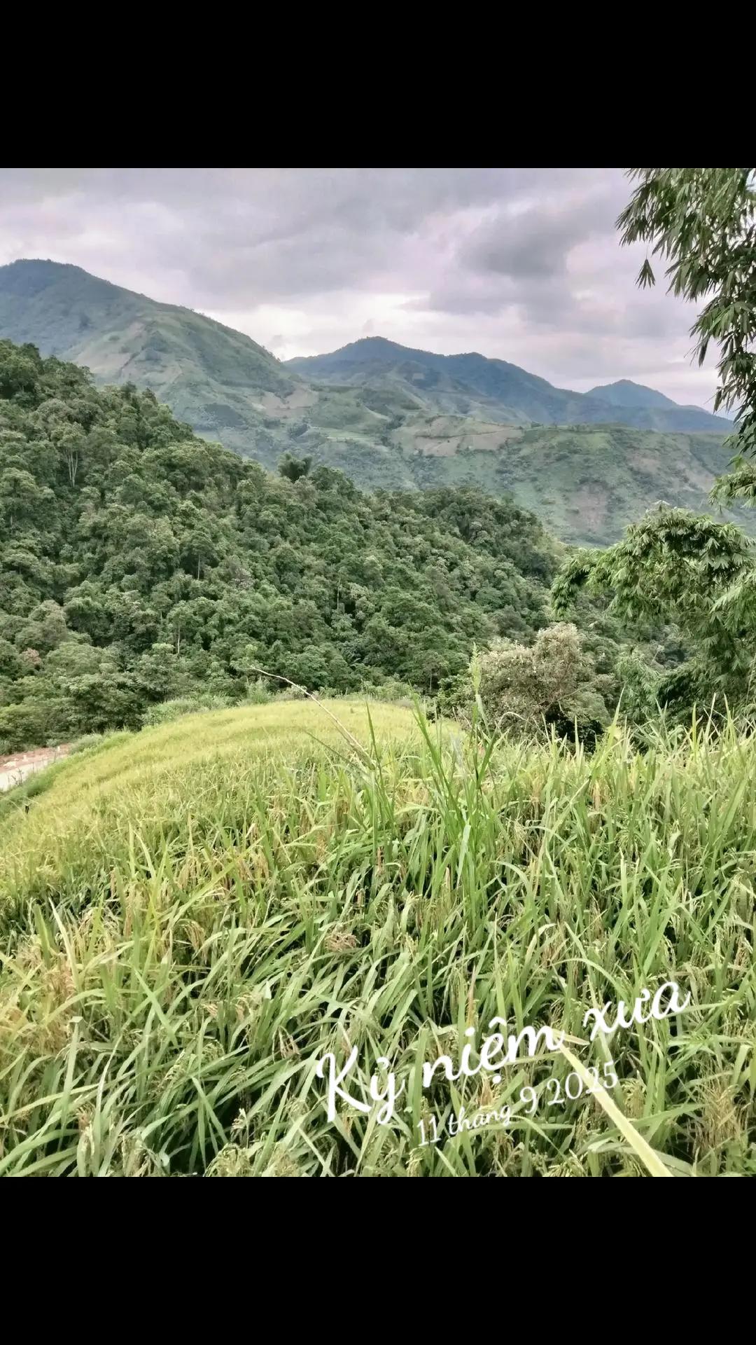 @Dung giàng