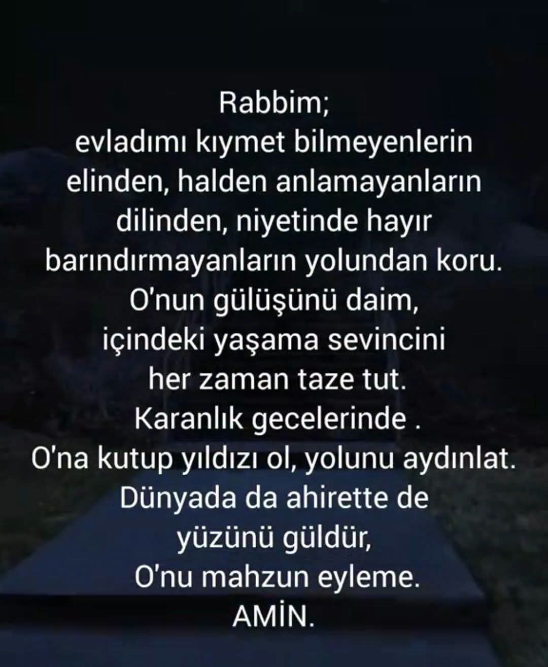 @Raziye Erim