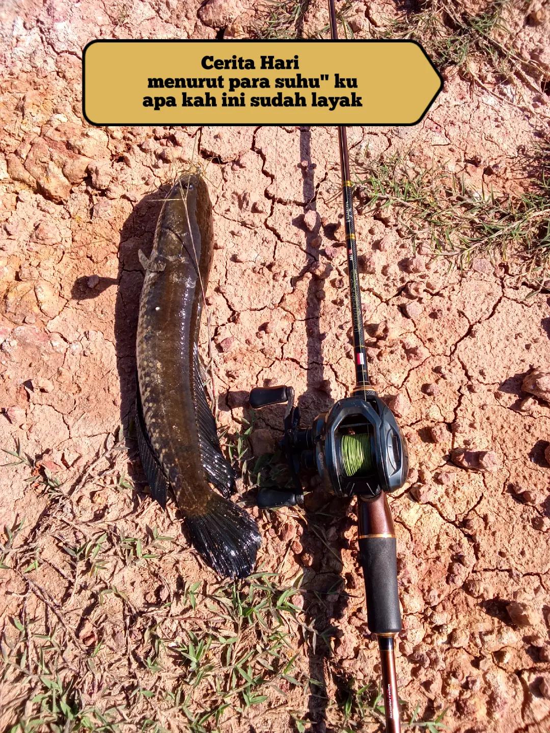 @Usnan Angler Nmb