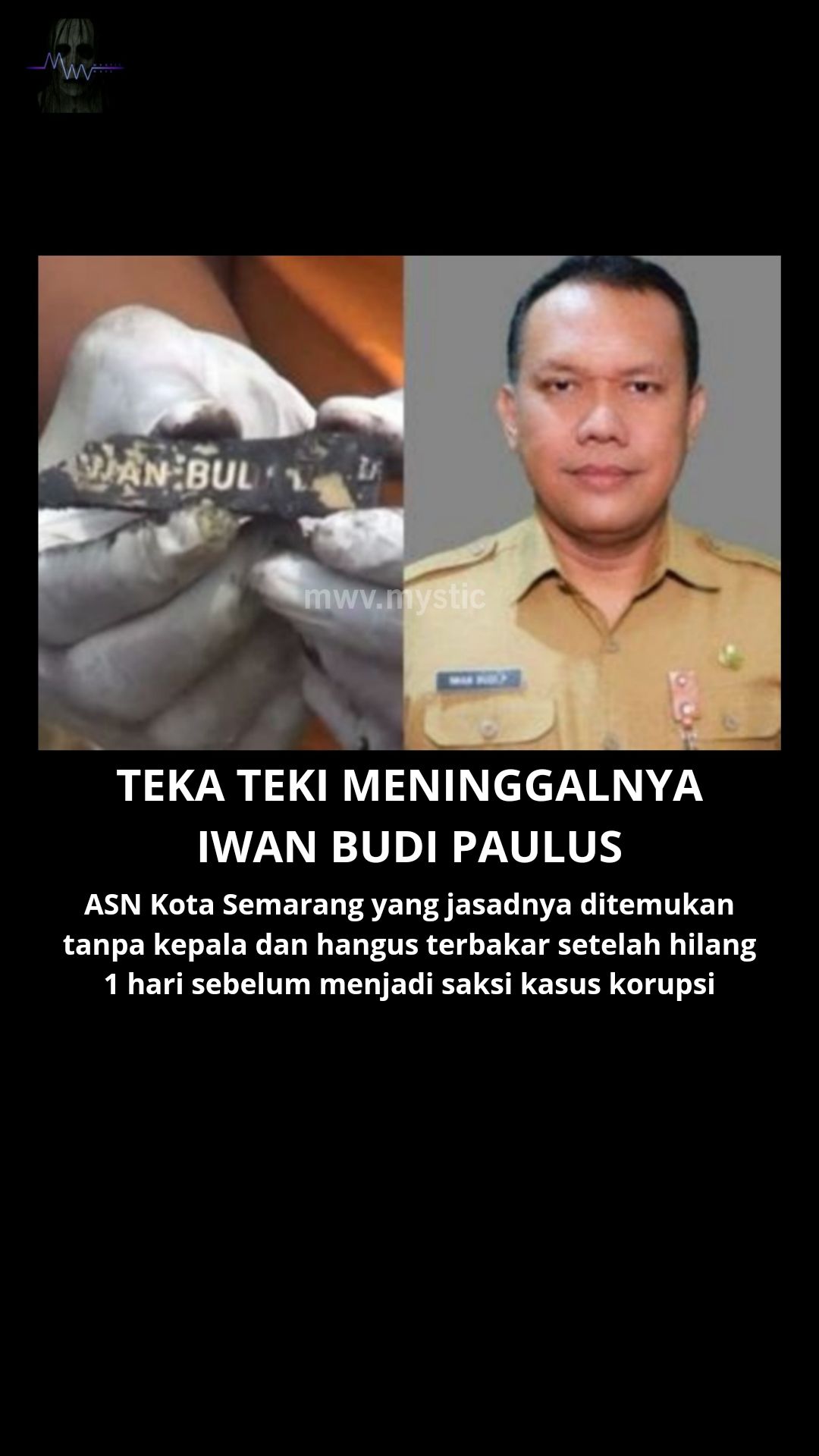 @Mwv Story
