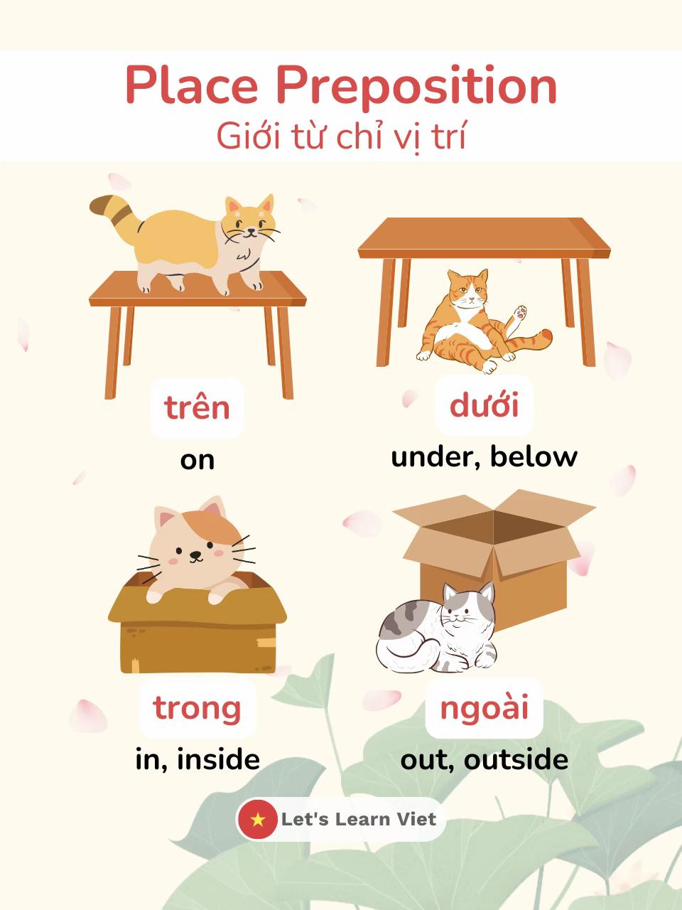 @Lets Learn Viet