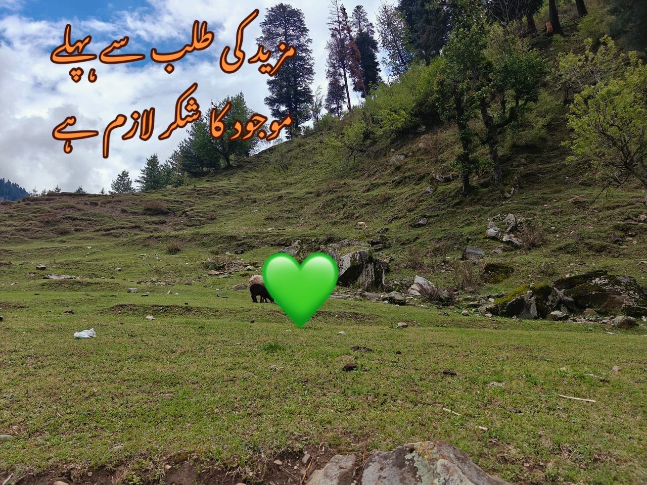 @baazmarealm