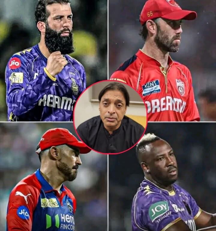 @Cricket lover🏏