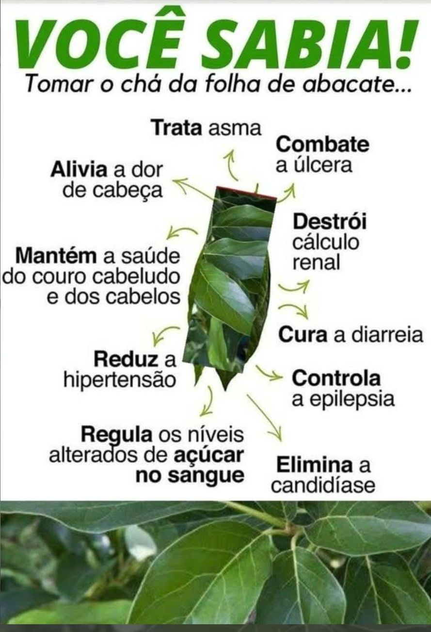 @Reginaldo Marques Sanchez