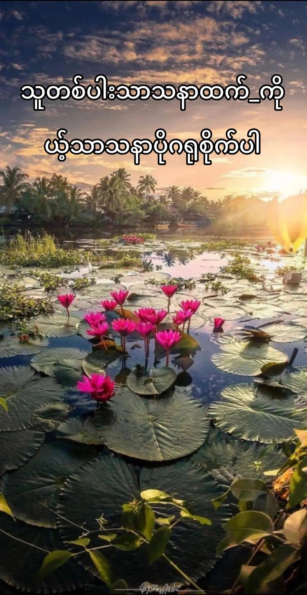 @Win Kyaw Naing