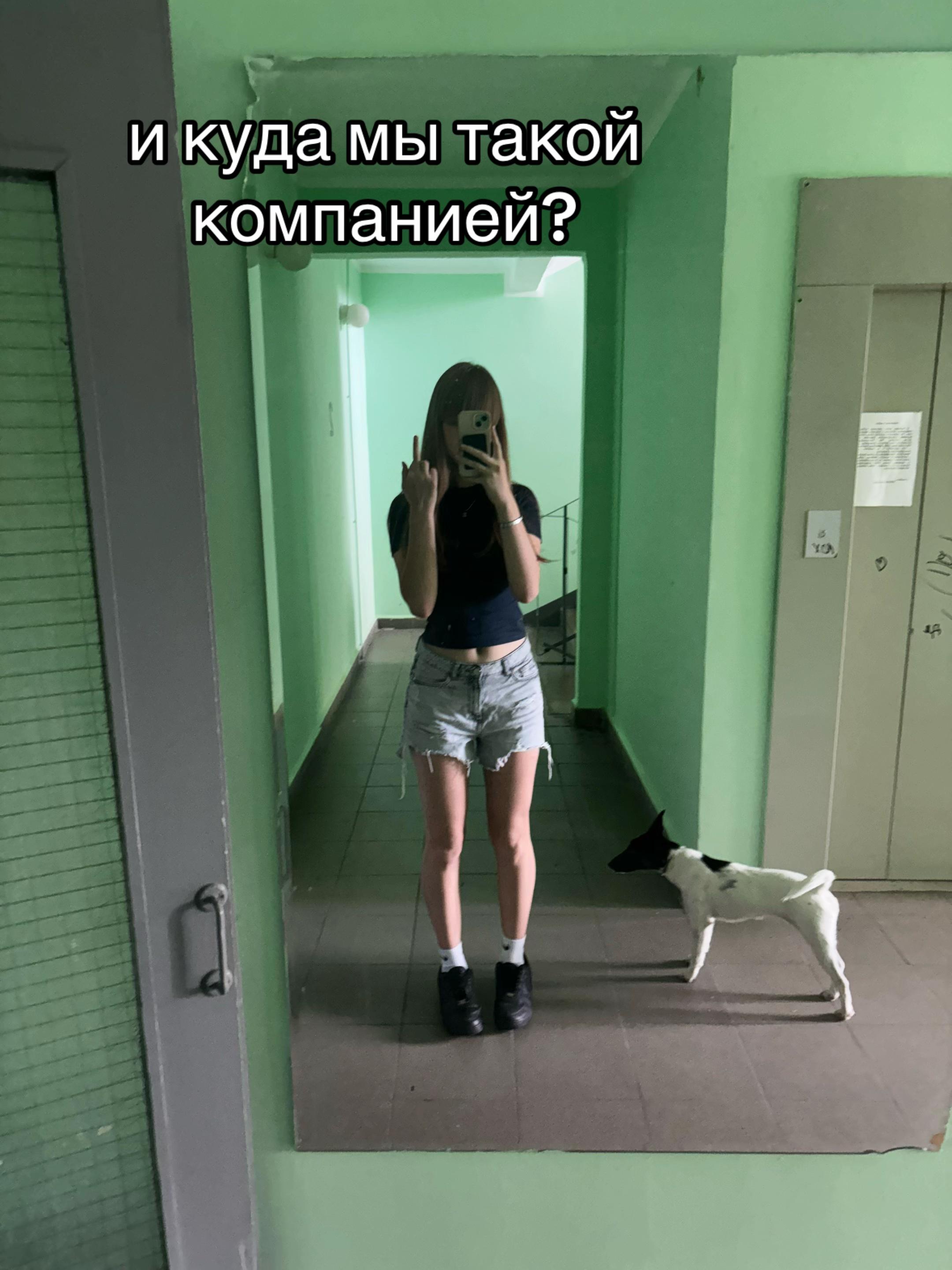 @polinapolicopb67🌻