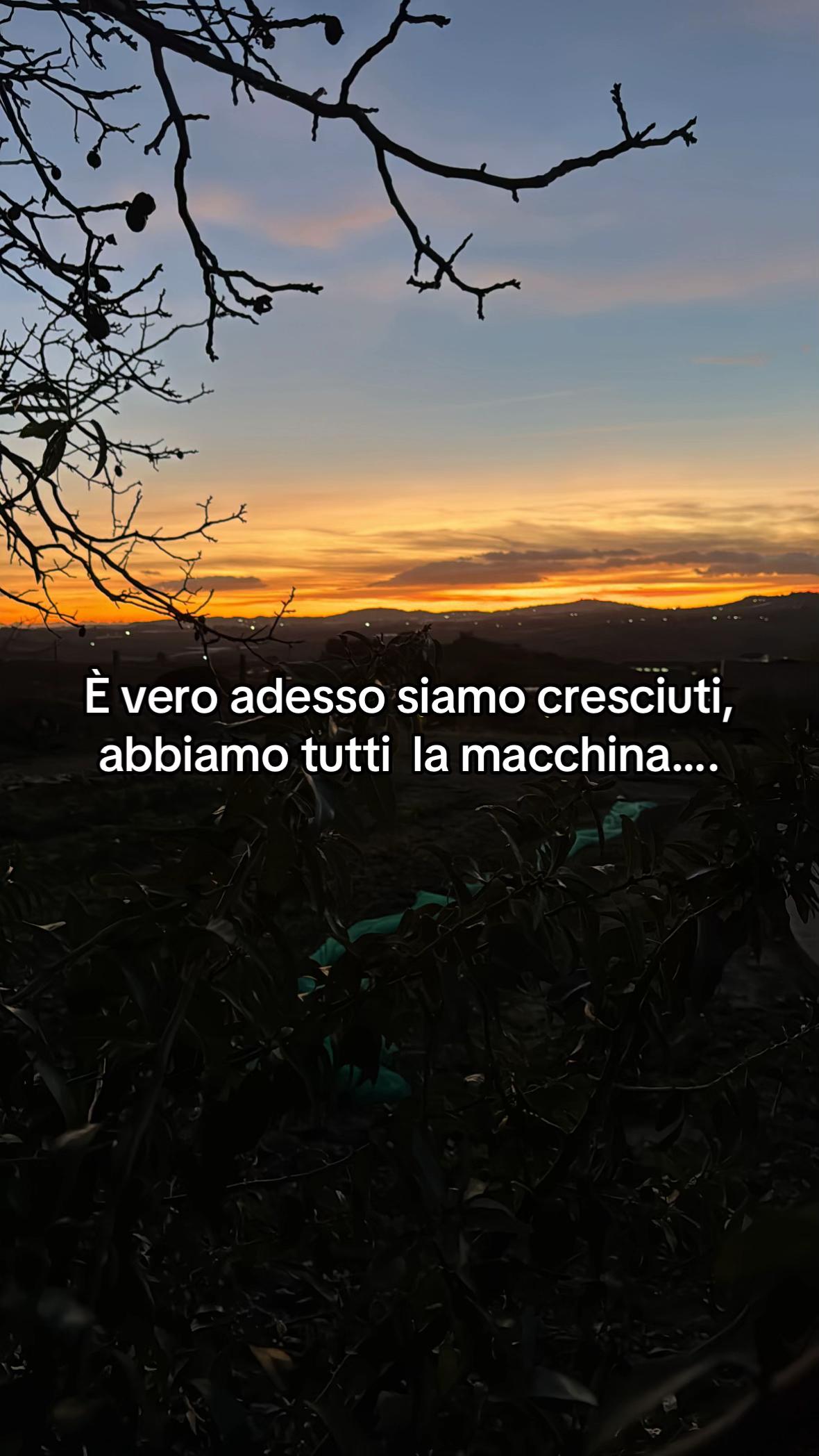 @<Tano Valenti>