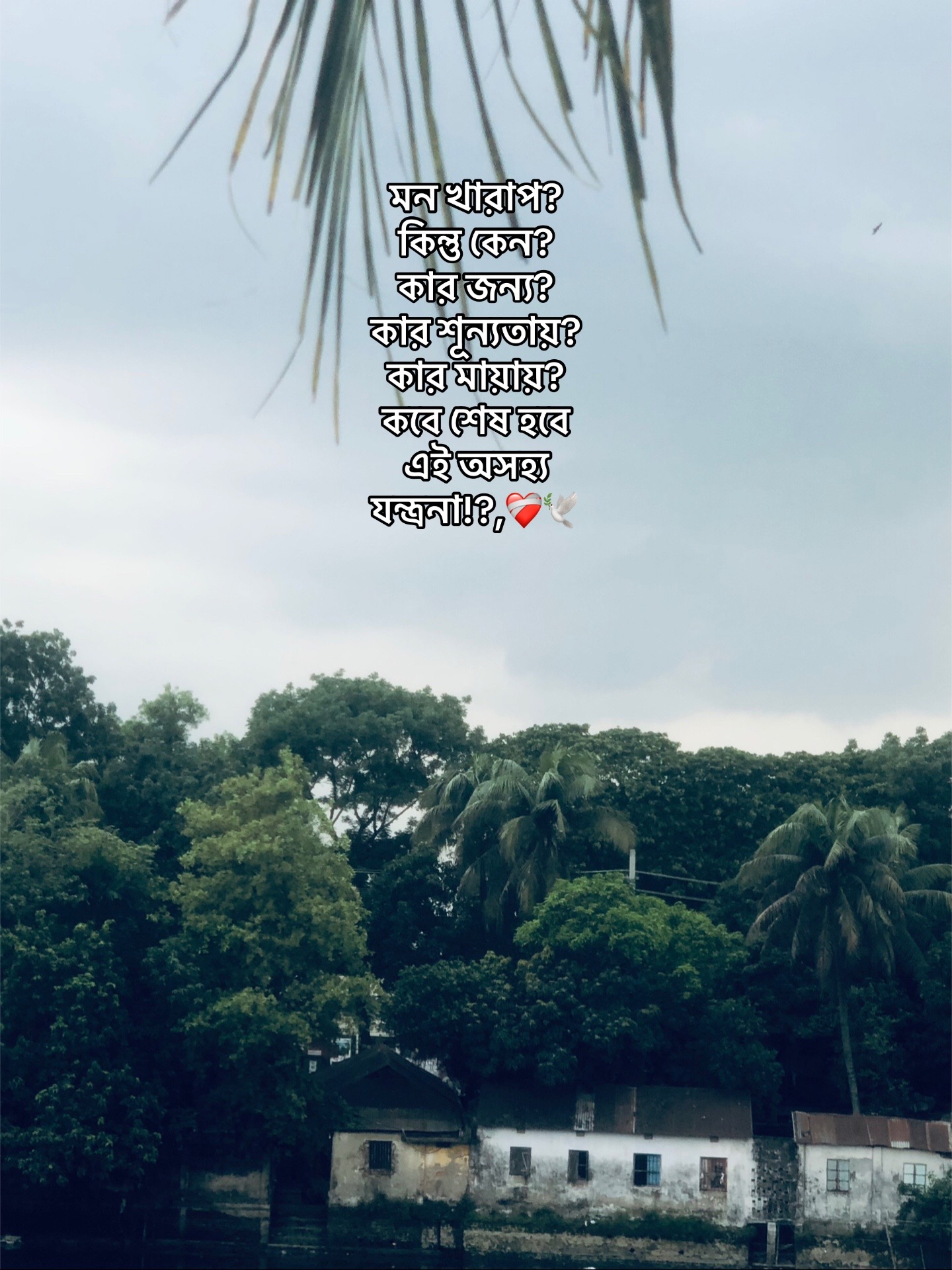 @RiYu:)✨🕊️