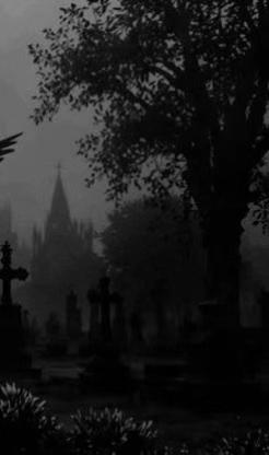@Salem🕷️