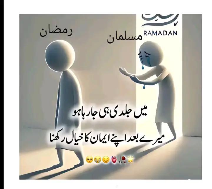 @🍁Umair Mughal🍁
