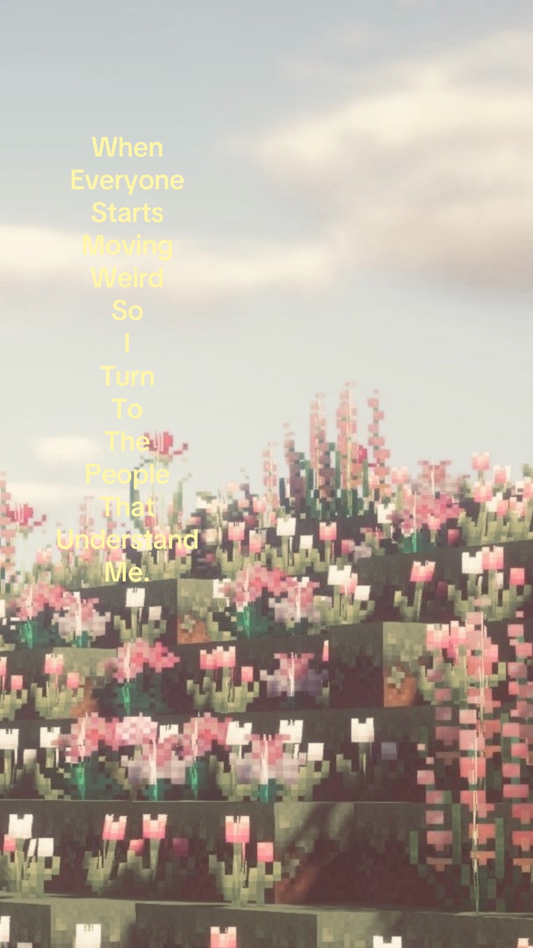 @⋆｡˚ 𝓘𝓢𝓐🦢
