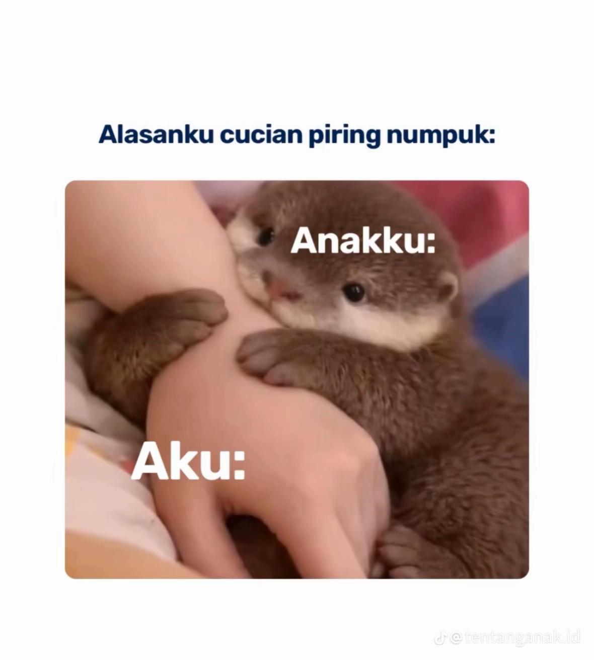 @Hasanah_Kenichiro✨