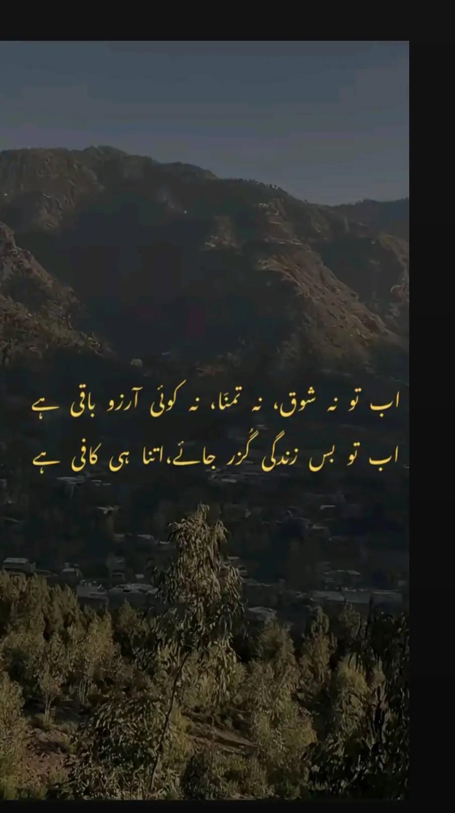 @wafa baloch
