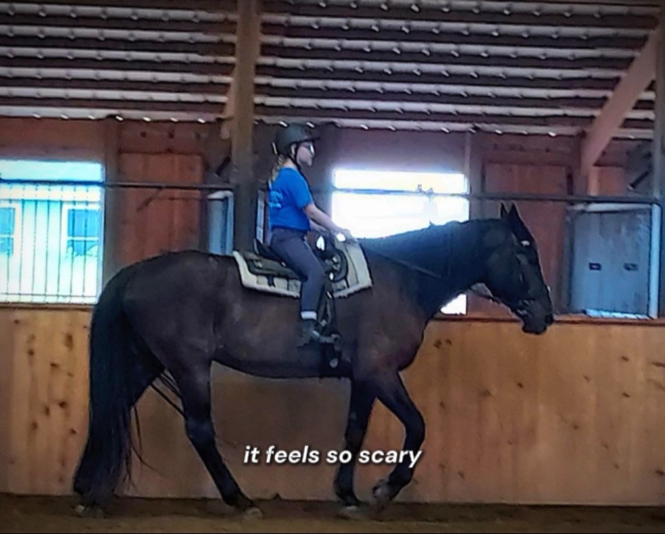 @McKinley🐴