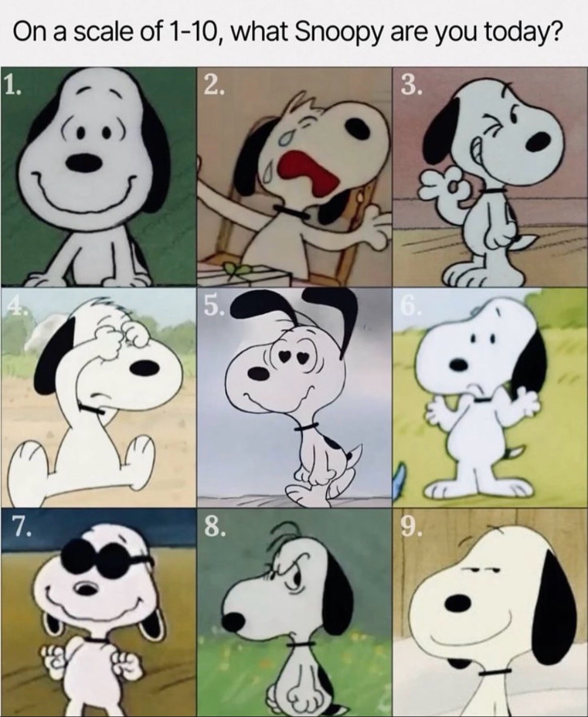 @Snoopy(Gigi’s Version)