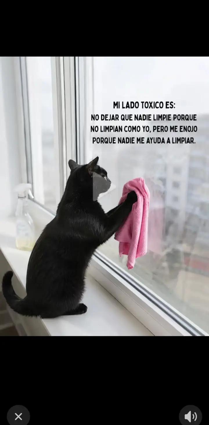 @isabella