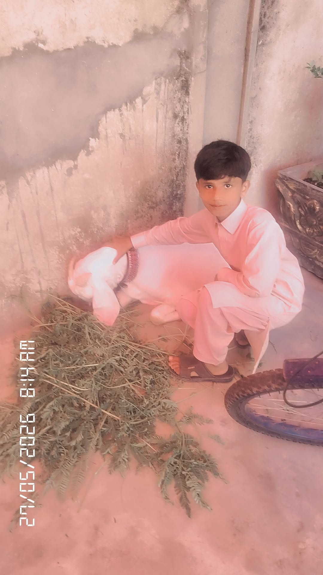 @Hasnian Shahbaz Qazi
