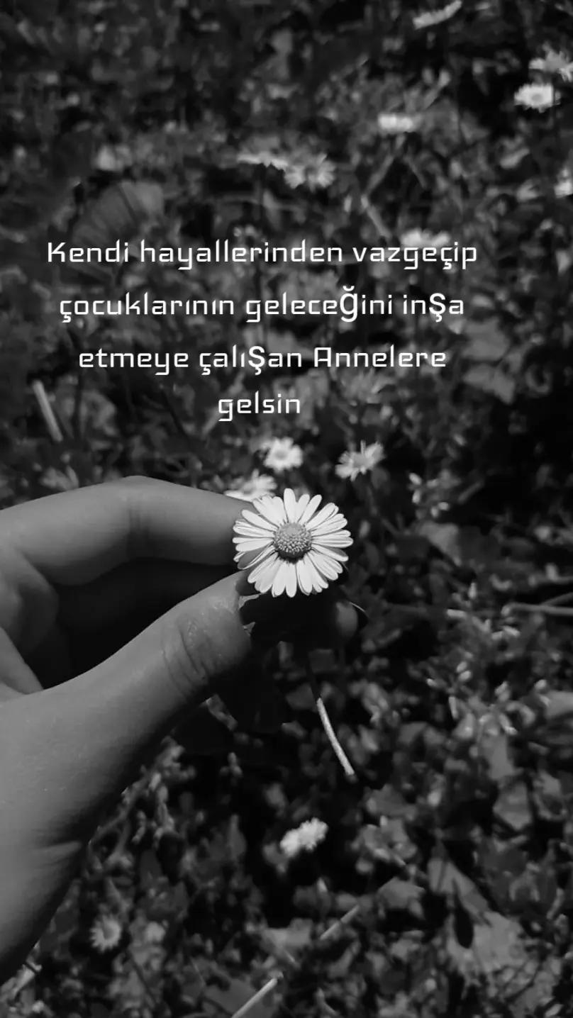 @Fatma Bolat