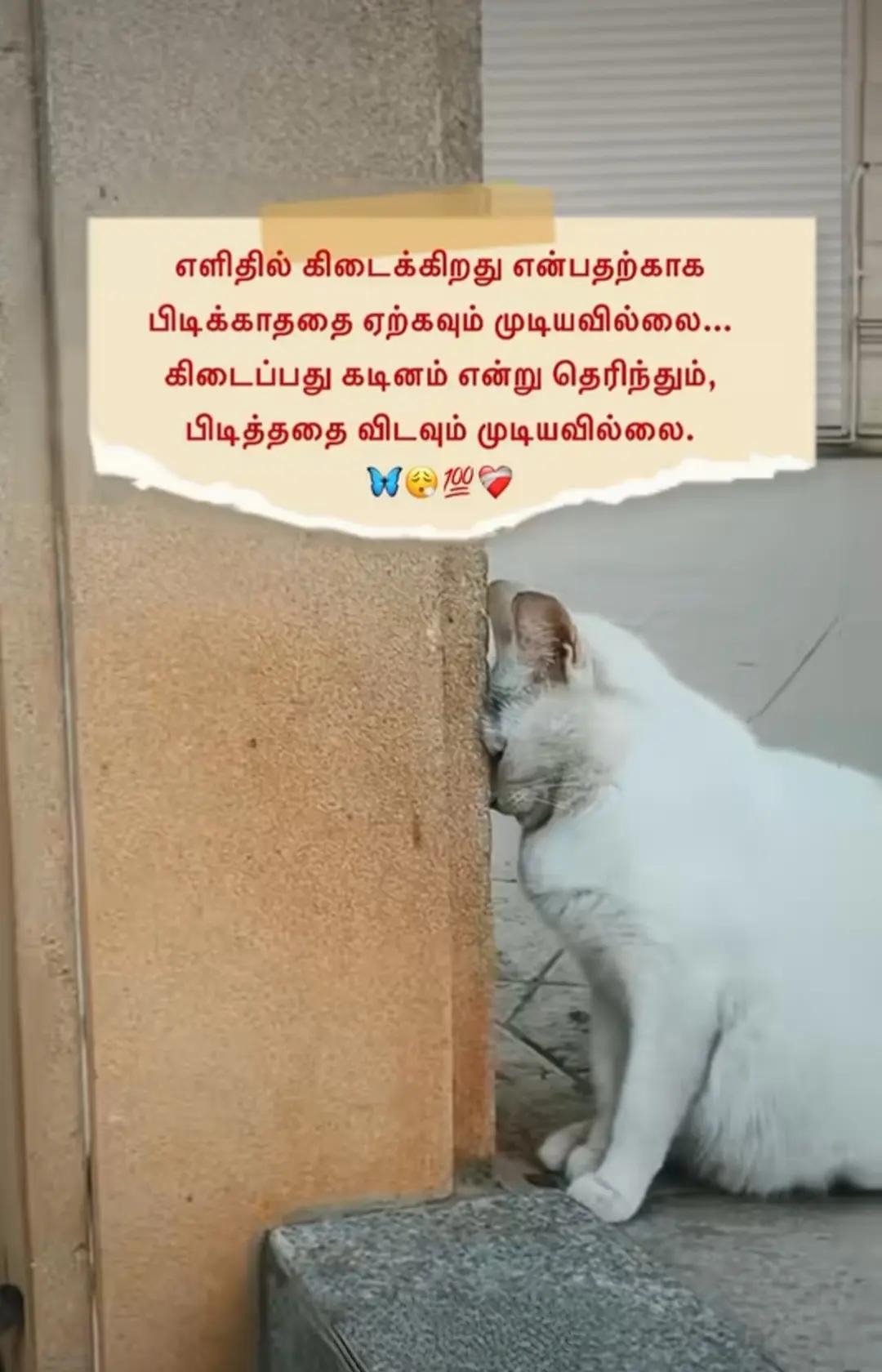 @ミ💔 𝐎𝐆 𝐕𝐈𝐋𝐋𝐀𝐈𝐍 🥀彡