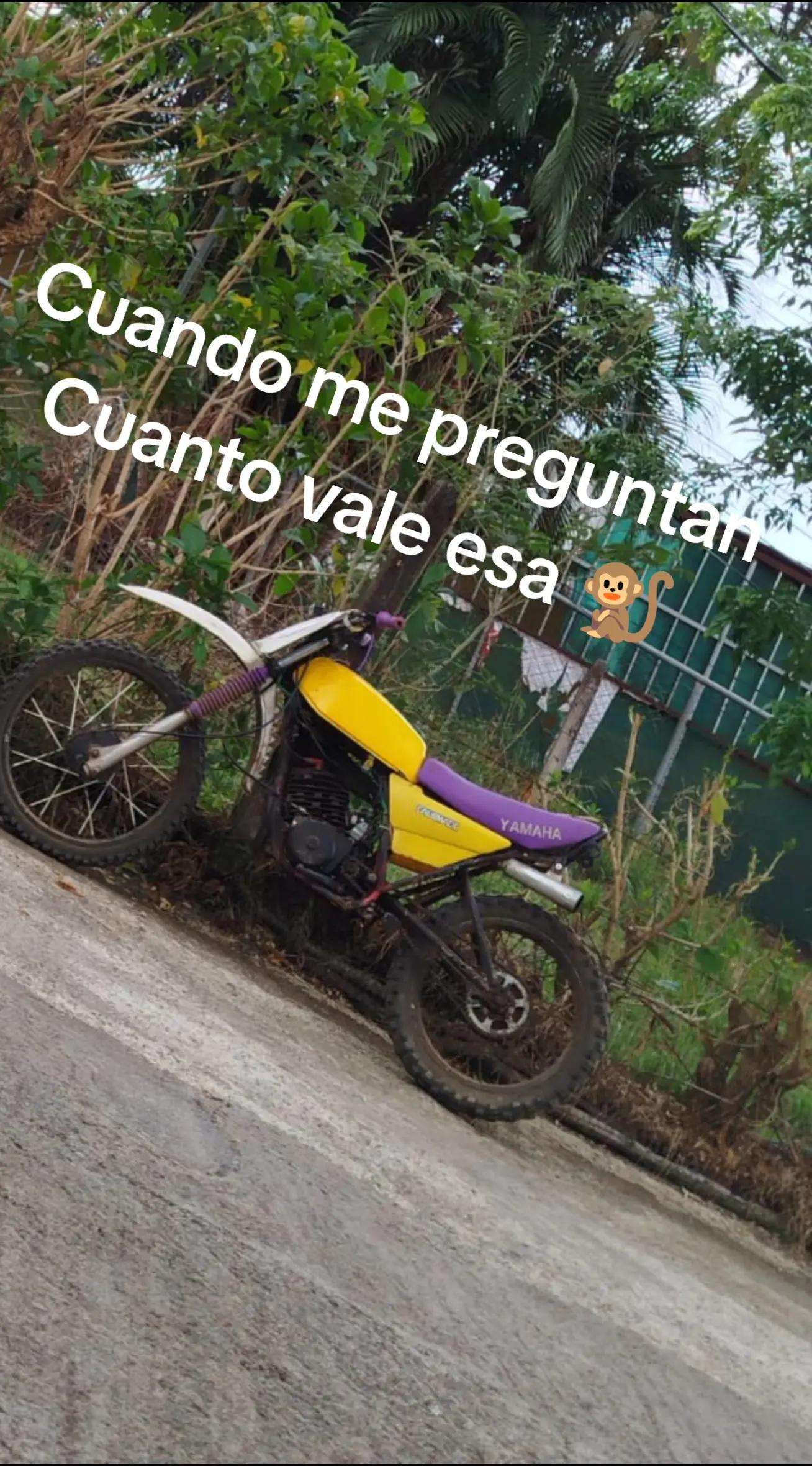 @Kevin Mejias
