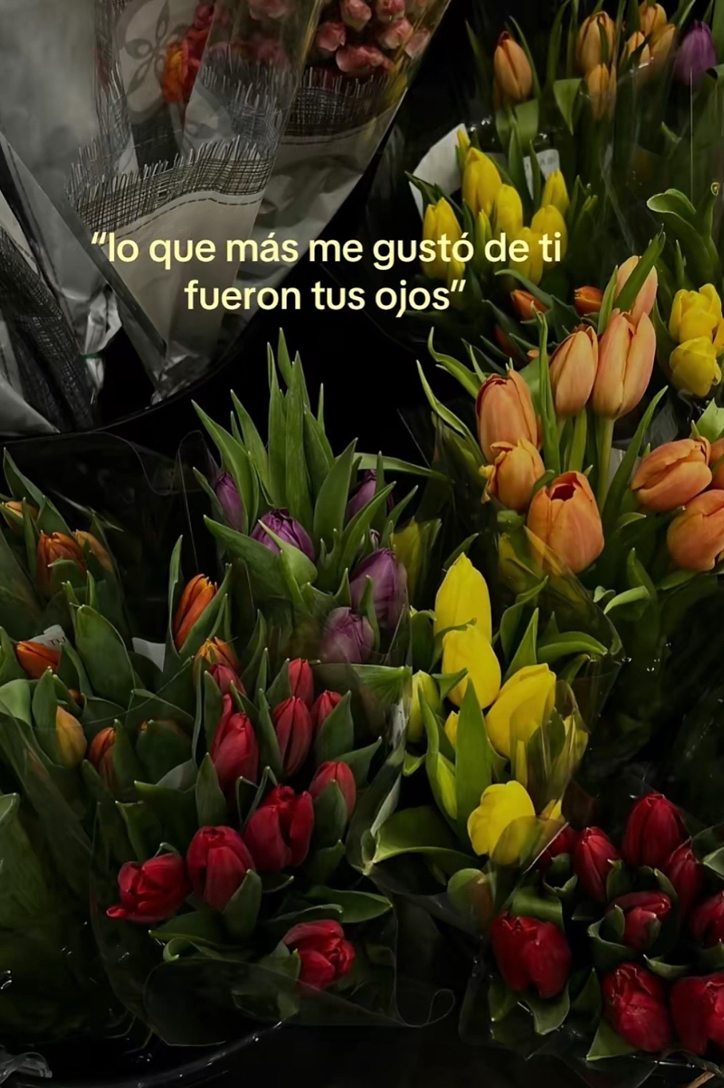 @꧁🦺IᖇIS ᗪ 🇭🇳🦺👸🏻꧂