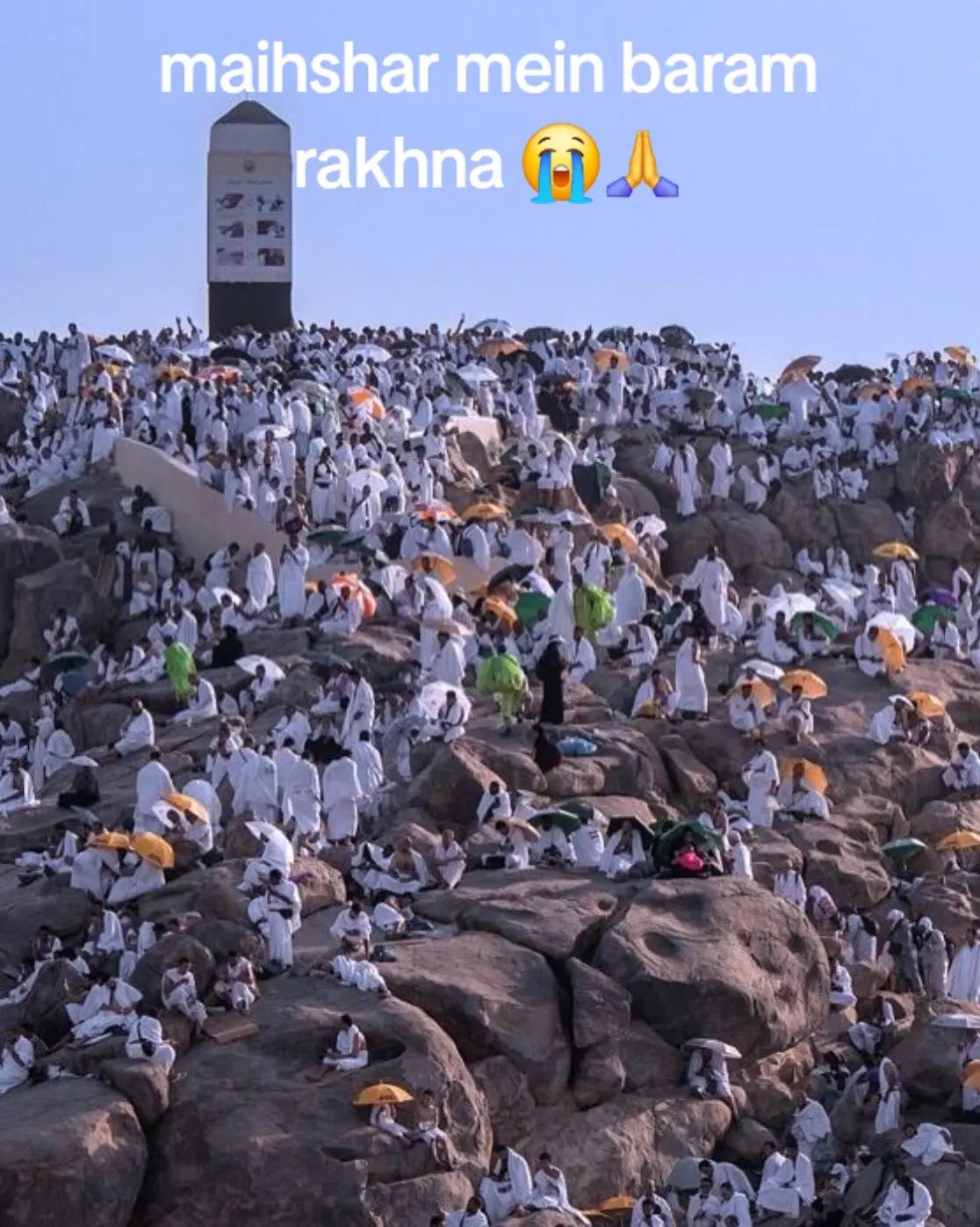 @Tania Raja