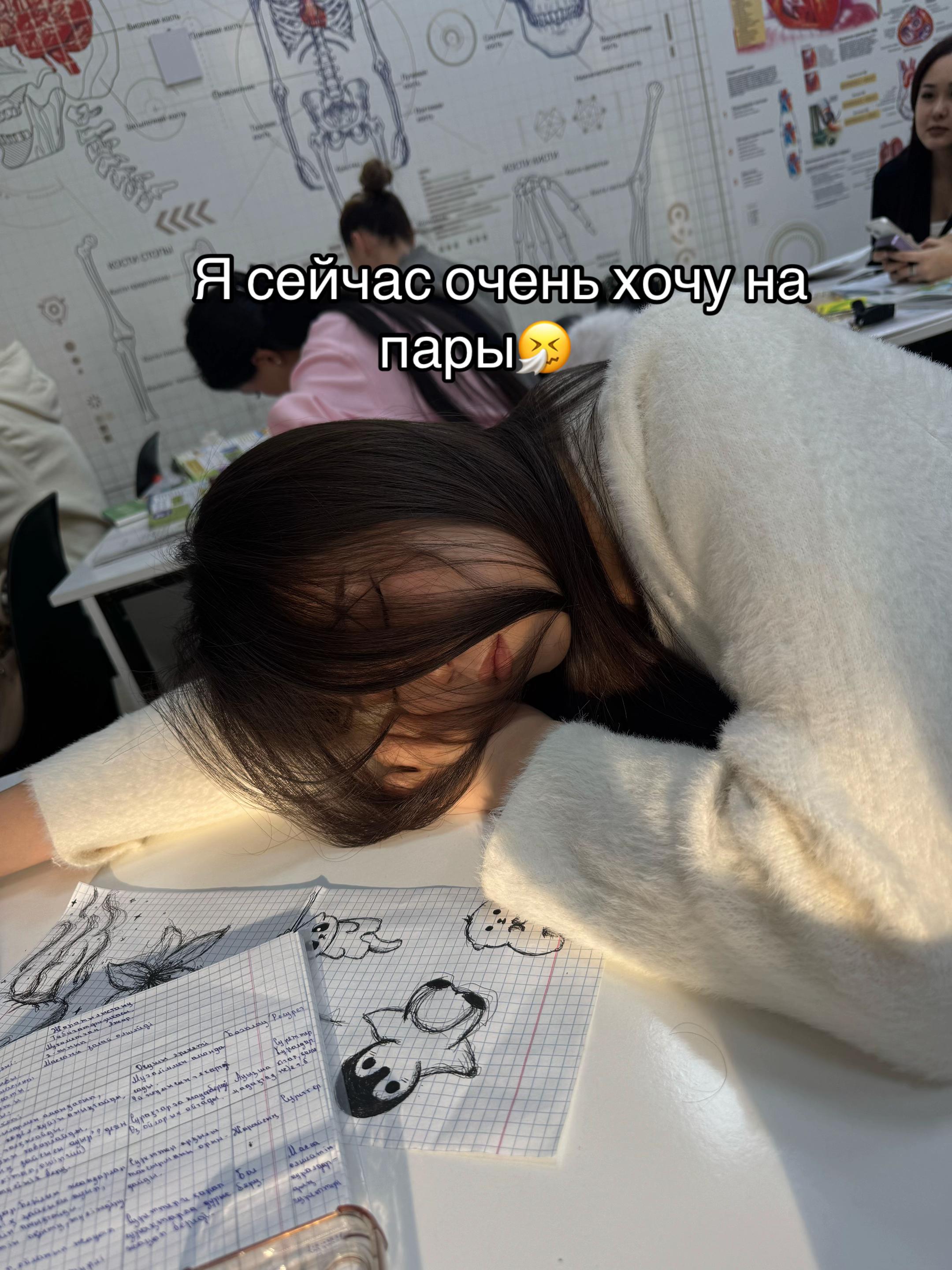 @snixx_