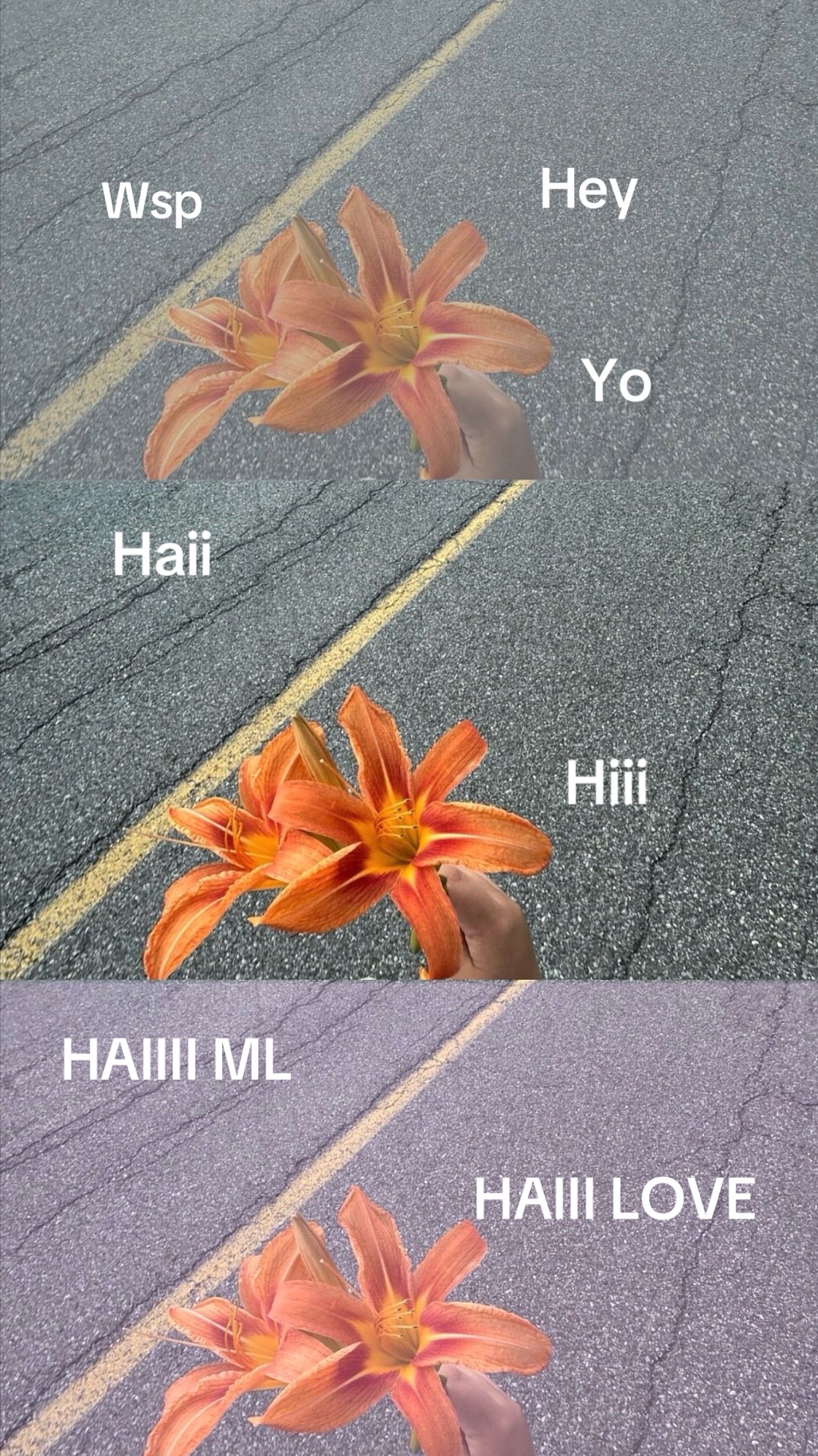 @๐โฌ๐๐ป๐๐ช๐ถ๐ฒ๐ป๐๐โฌ