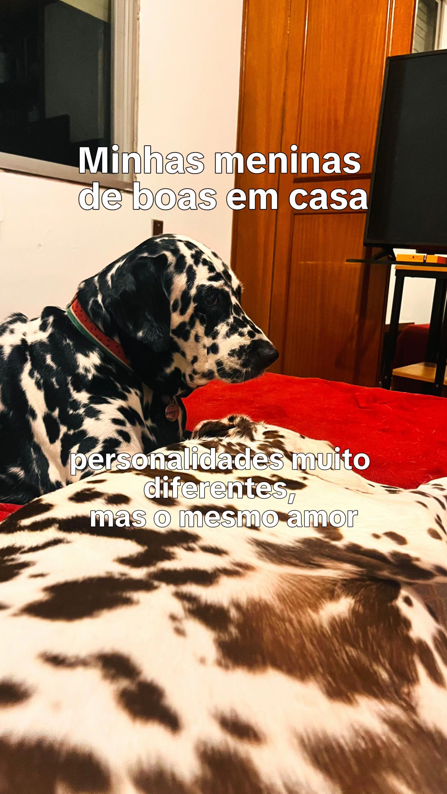 @Margô e Jude