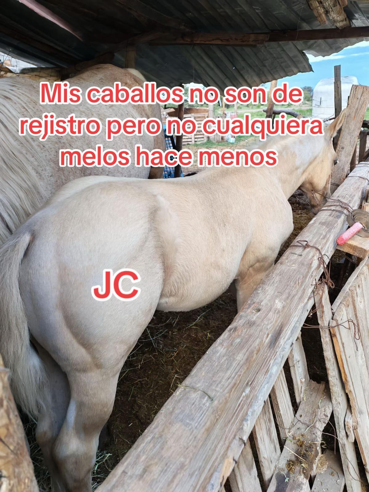 @Jdelcampo