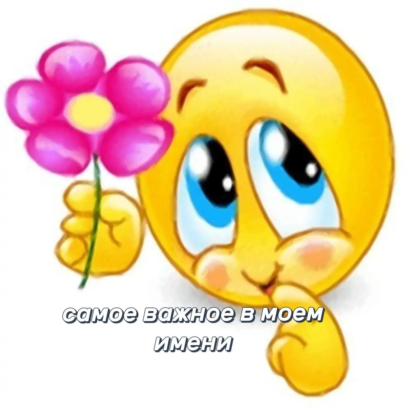 @TT | ★&bull;𝙻𝙴𝚁𝙰&bull;★