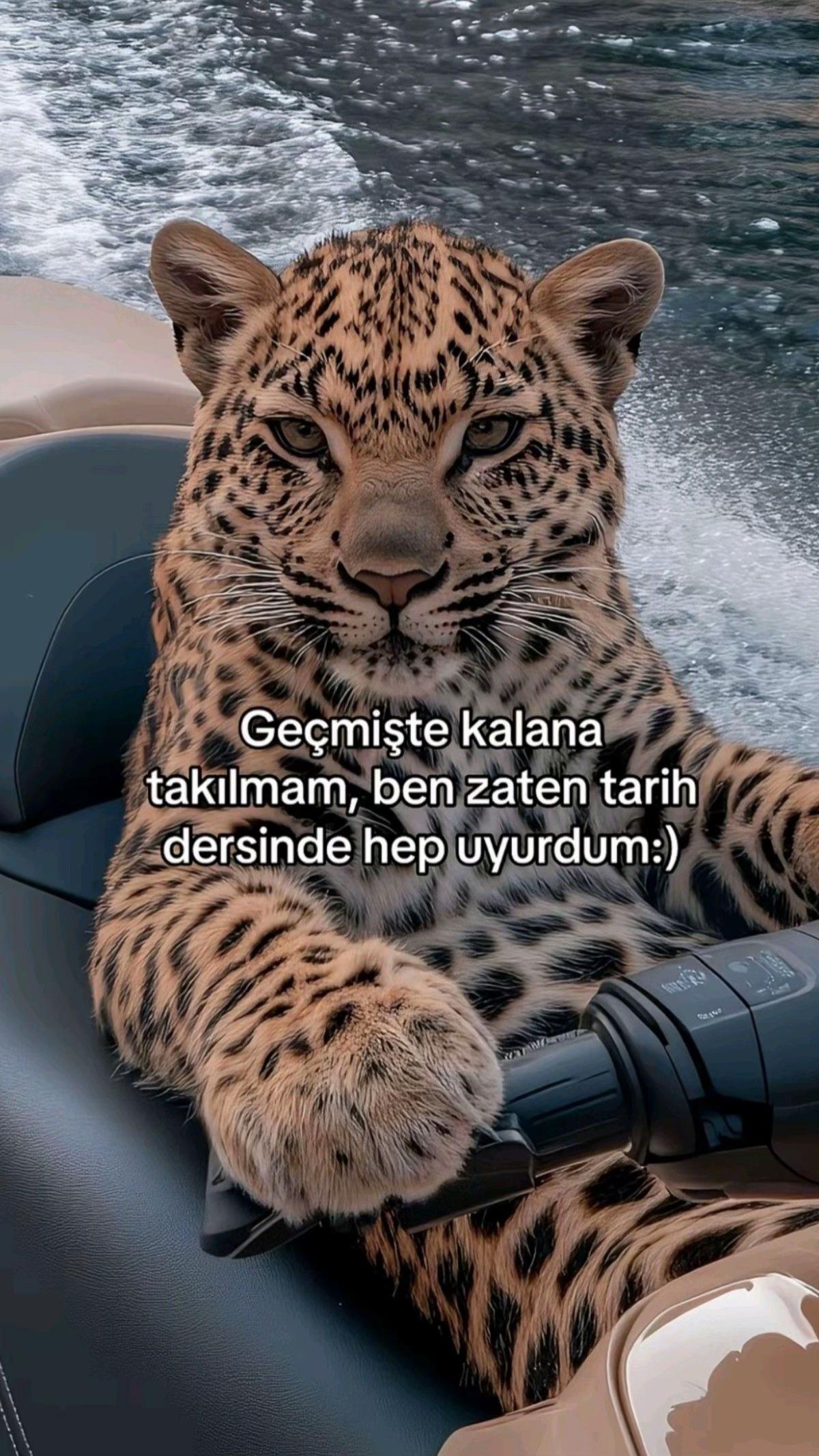 @Kıvırcık•