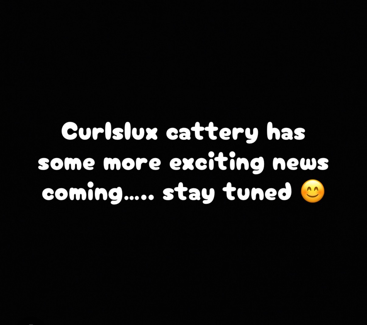 @Curlslux cattery!!🇺🇸