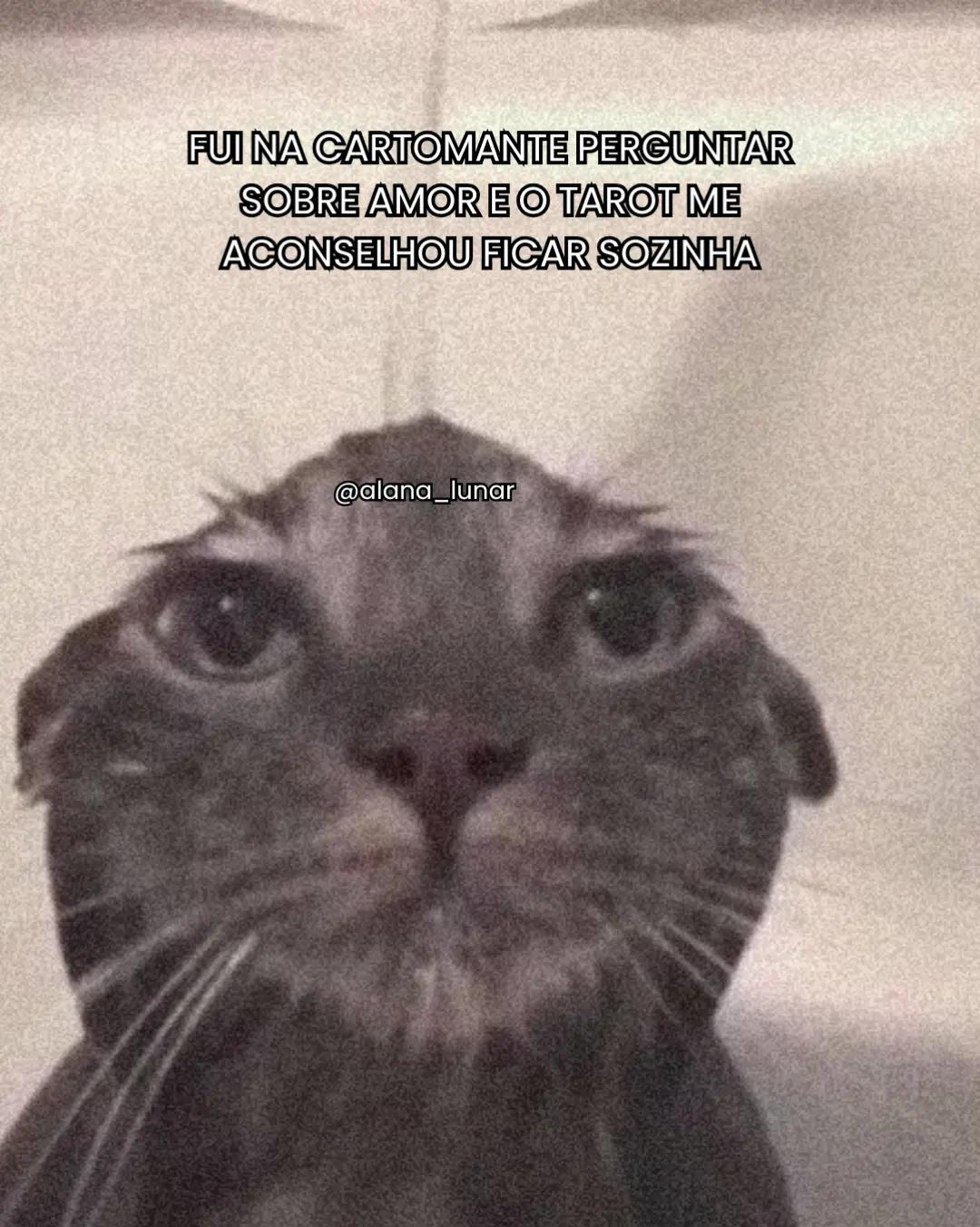 @Alana Lunar