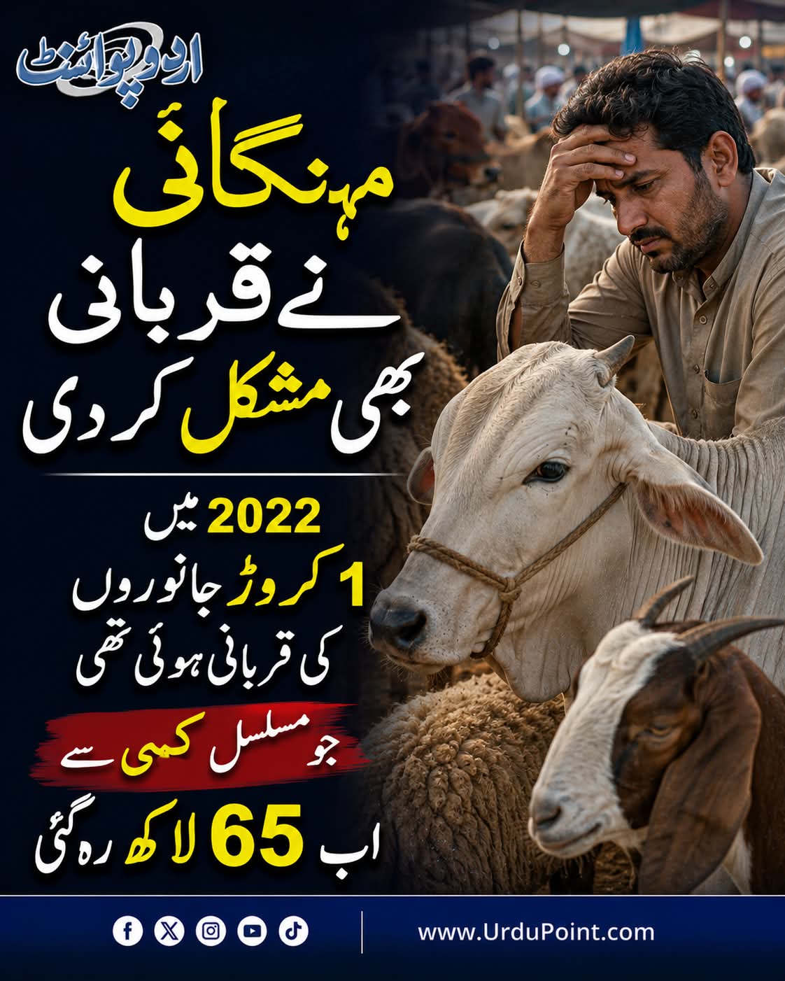 @Majid279h🇵🇰🇵🇰❤️