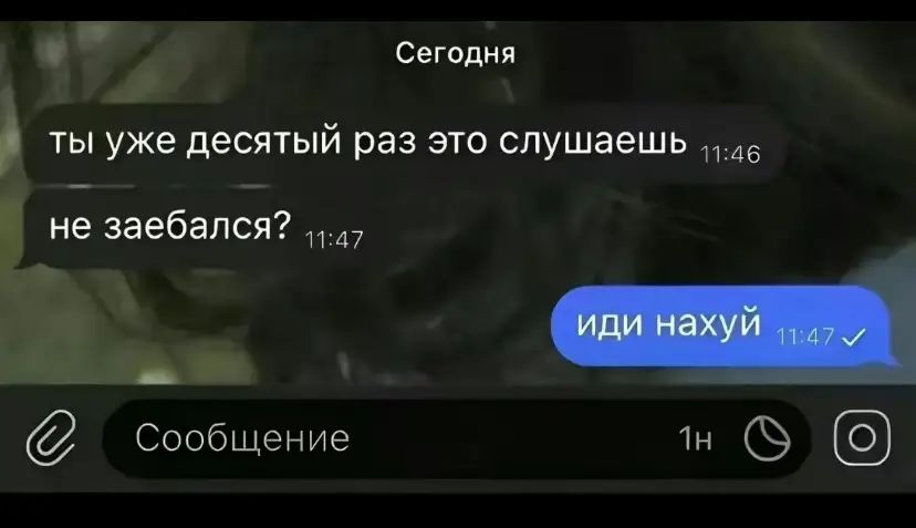 @vazalixkis