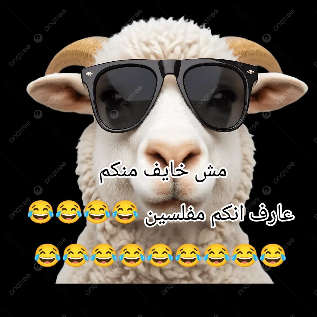@مشاهير العرب 📷💚