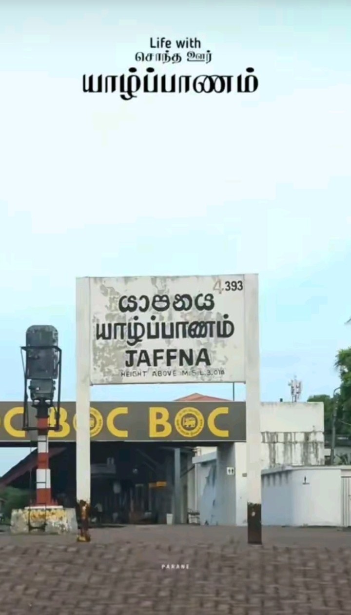 @𝘙𝘖𝘞𝘋𝘠 🥷🏻🤟🏻💥