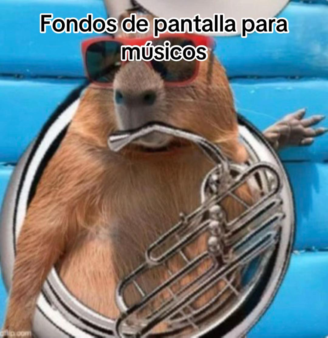 @Maestro_Tuba1