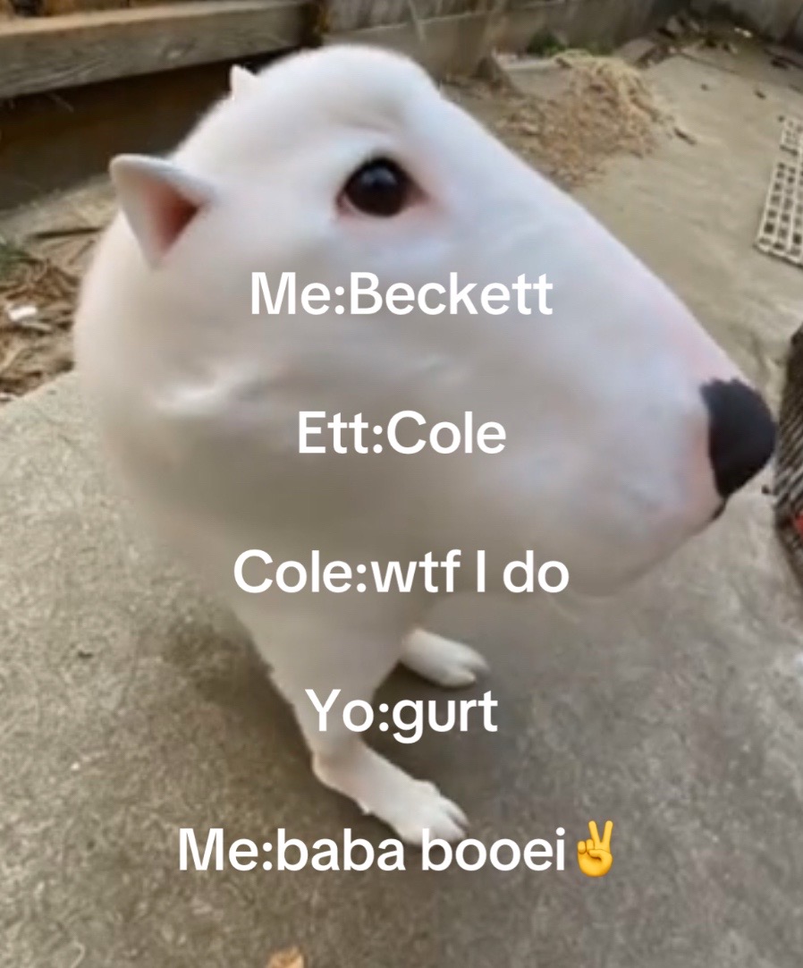 @Daniel