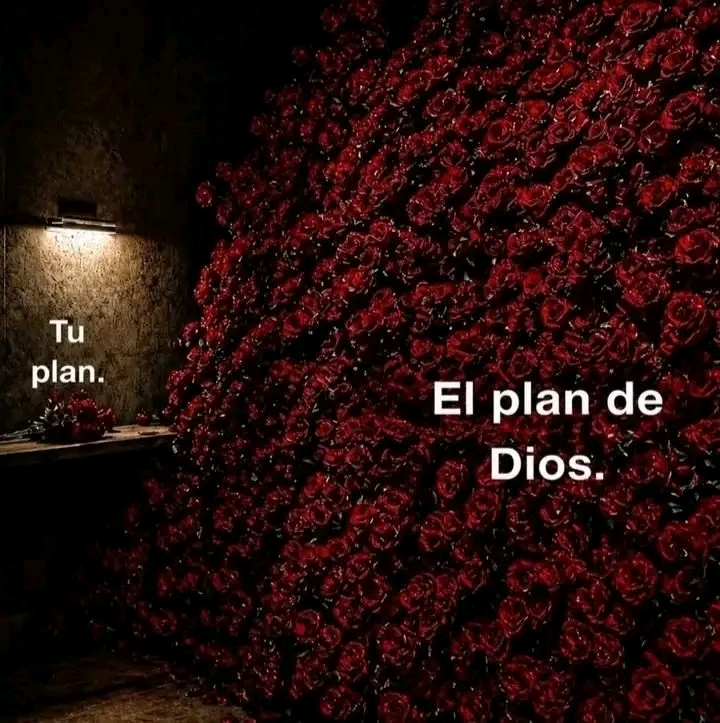 @Davilenia Valle