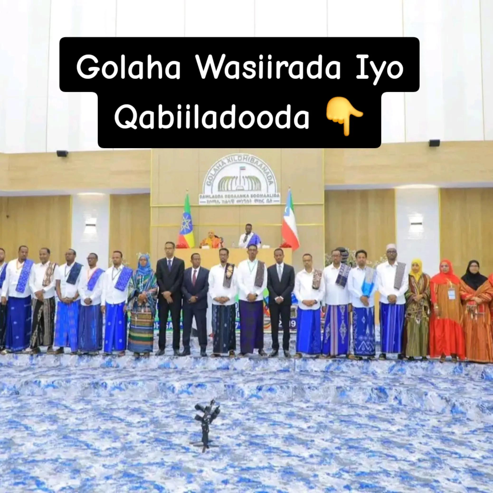 @Taqile⚡️تقل